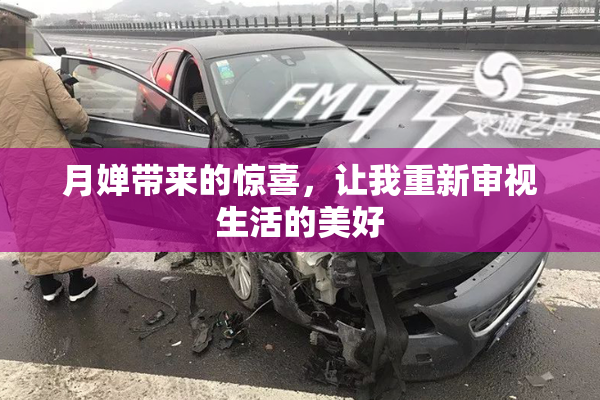 月婵带来的惊喜，让我重新审视生活的美好