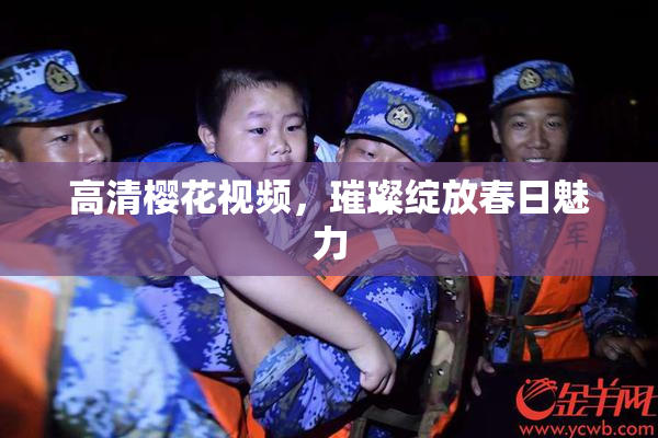 高清樱花视频，璀璨绽放春日魅力