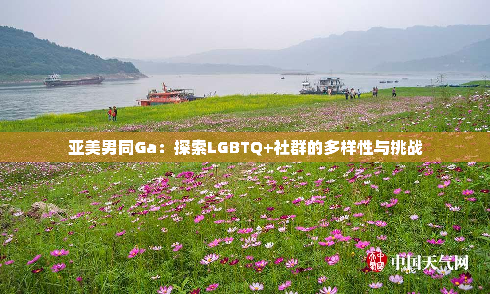 亚美男同Ga：探索LGBTQ+社群的多样性与挑战