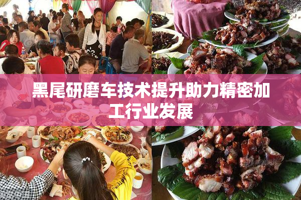 黑尾研磨车技术提升助力精密加工行业发展