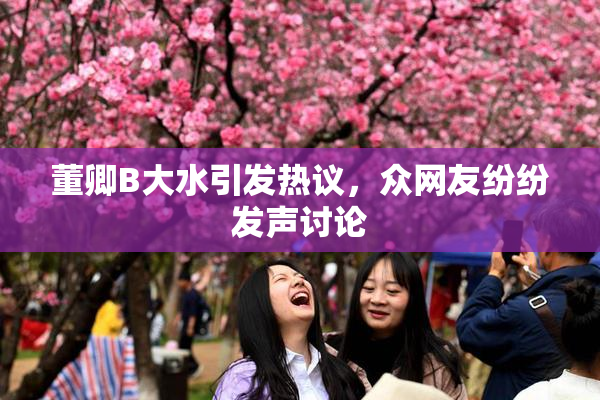董卿B大水引发热议，众网友纷纷发声讨论