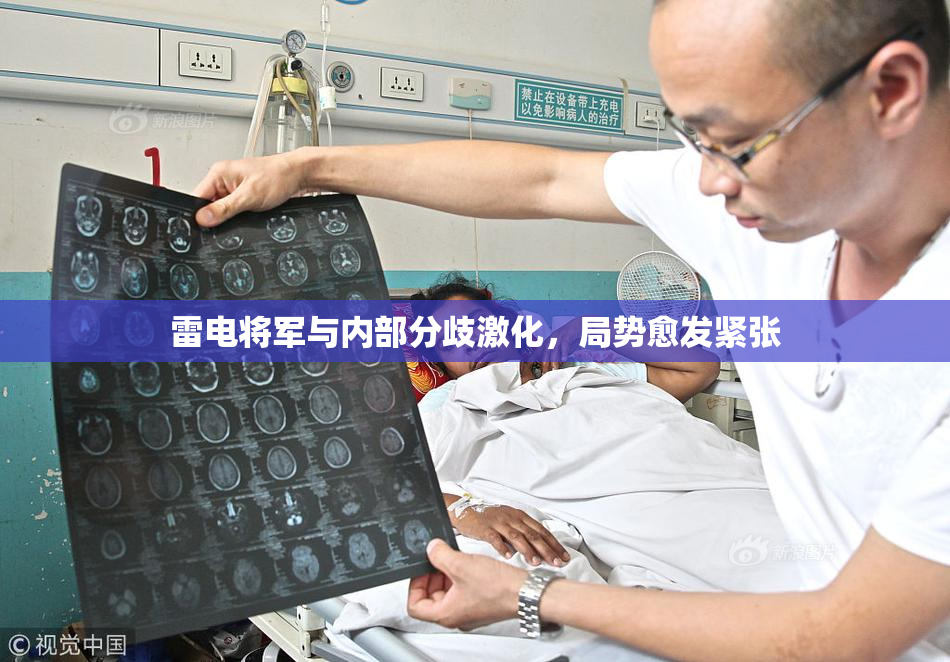 雷电将军与内部分歧激化，局势愈发紧张
