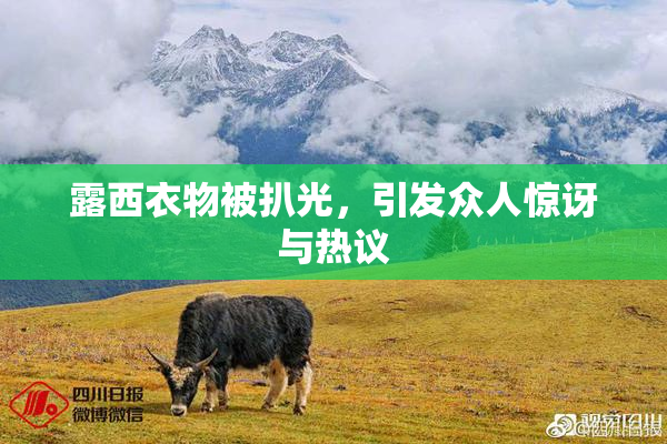 露西衣物被扒光，引发众人惊讶与热议