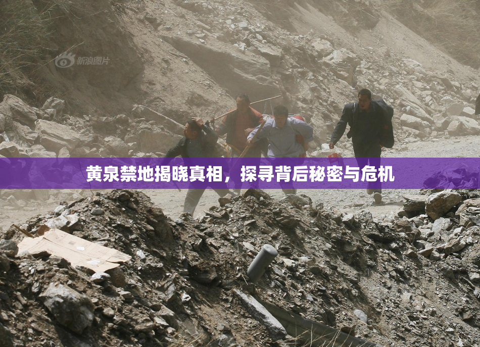 黄泉禁地揭晓真相，探寻背后秘密与危机