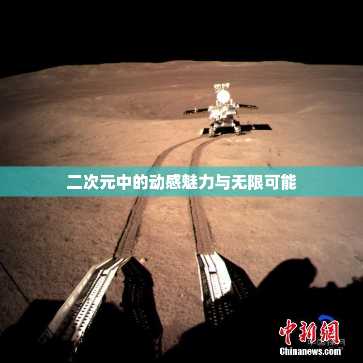 二次元中的动感魅力与无限可能