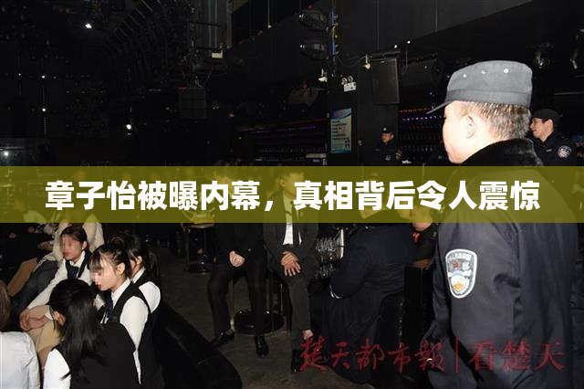 章子怡被曝内幕，真相背后令人震惊