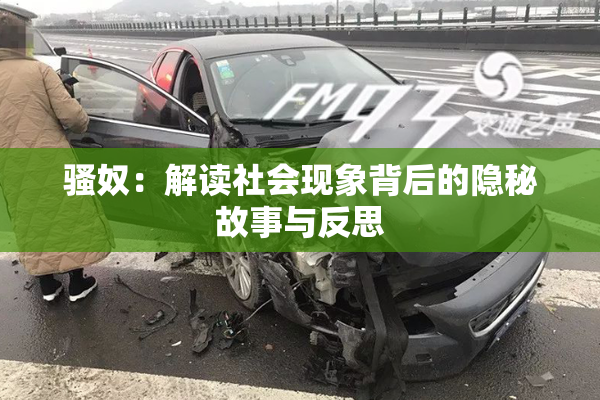 骚奴：解读社会现象背后的隐秘故事与反思