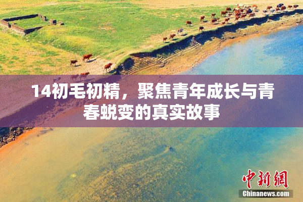 14初毛初精，聚焦青年成长与青春蜕变的真实故事
