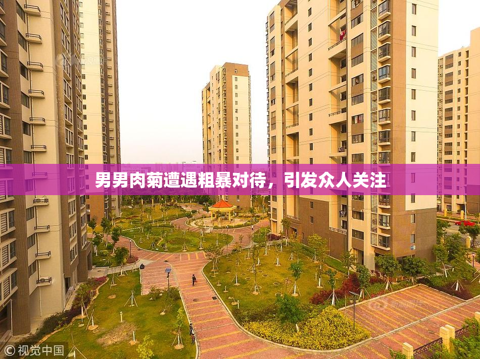 男男肉菊遭遇粗暴对待，引发众人关注