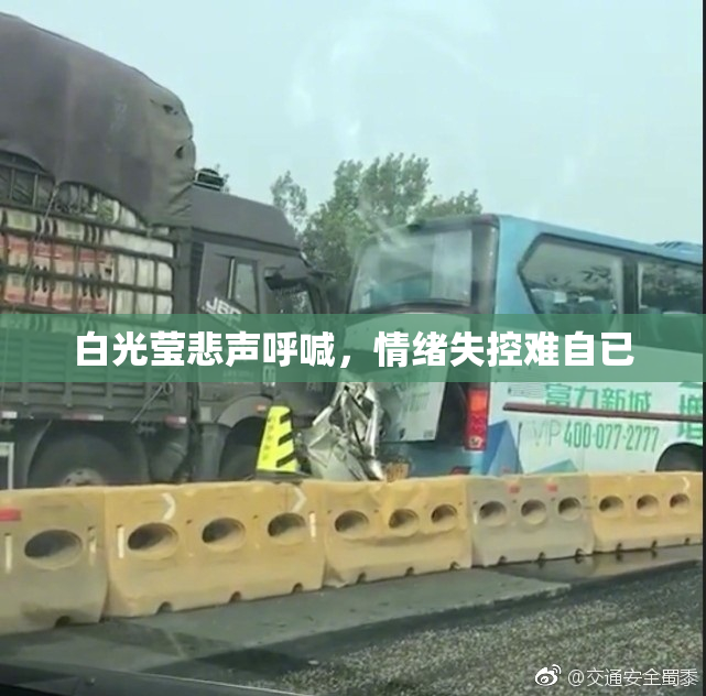 白光莹悲声呼喊，情绪失控难自已