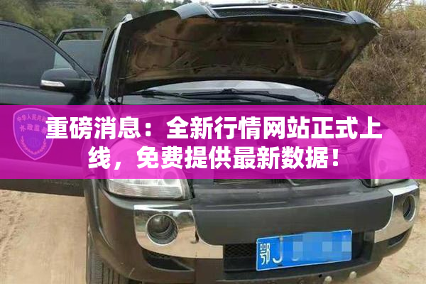 重磅消息：全新行情网站正式上线，免费提供最新数据！