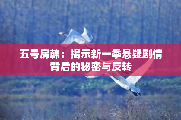 五号房韩：揭示新一季悬疑剧情背后的秘密与反转