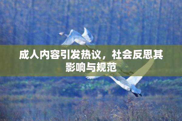 成人内容引发热议，社会反思其影响与规范