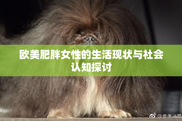 欧美肥胖女性的生活现状与社会认知探讨