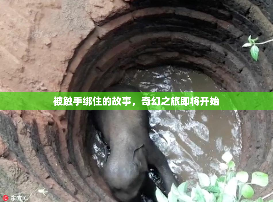被触手绑住的故事，奇幻之旅即将开始