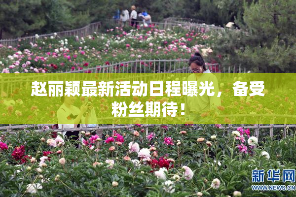 赵丽颖最新活动日程曝光，备受粉丝期待！