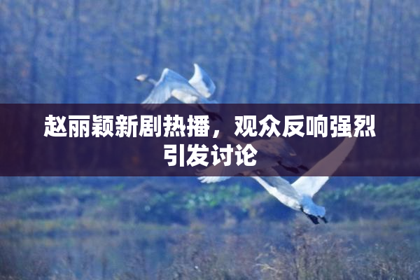 赵丽颖新剧热播，观众反响强烈引发讨论