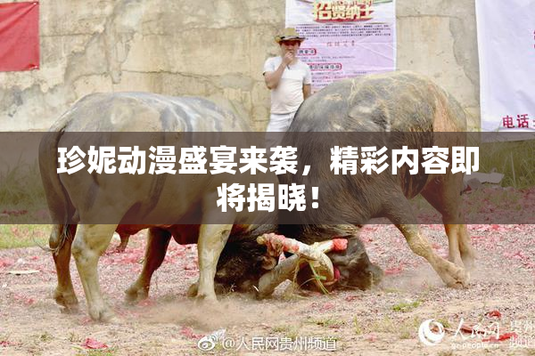 珍妮动漫盛宴来袭，精彩内容即将揭晓！