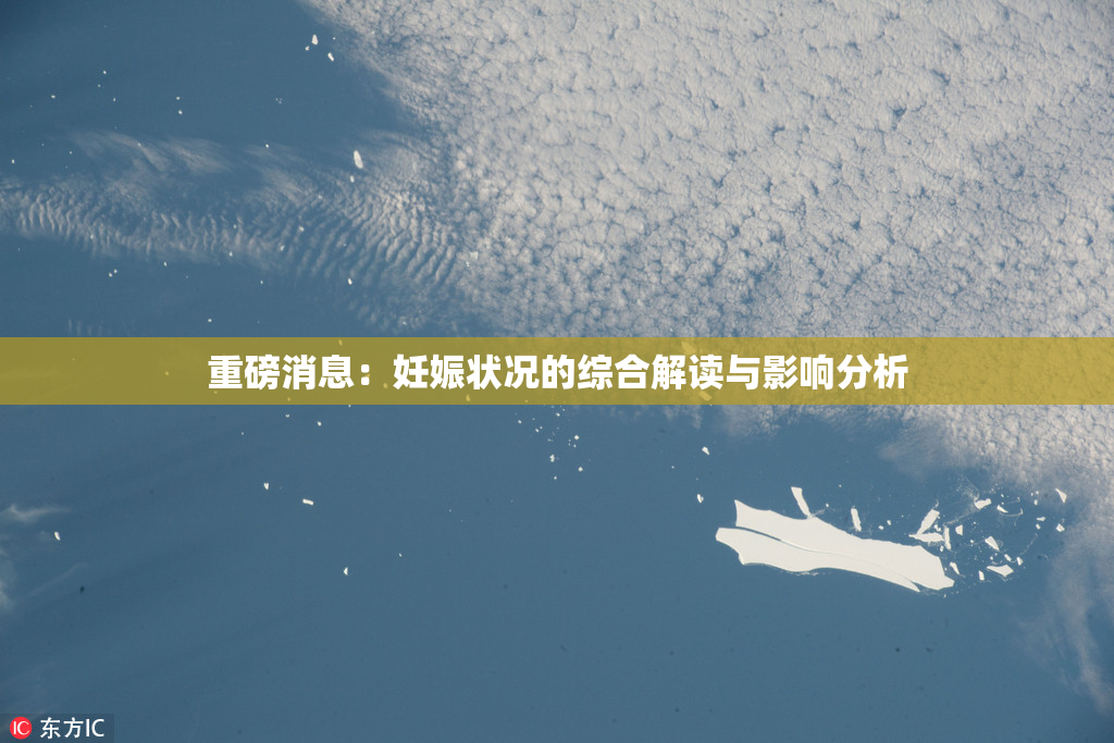 重磅消息：妊娠状况的综合解读与影响分析