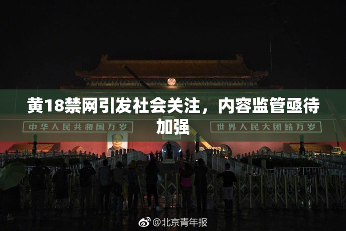 黄18禁网引发社会关注，内容监管亟待加强