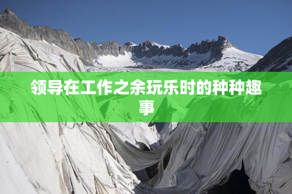 领导在工作之余玩乐时的种种趣事