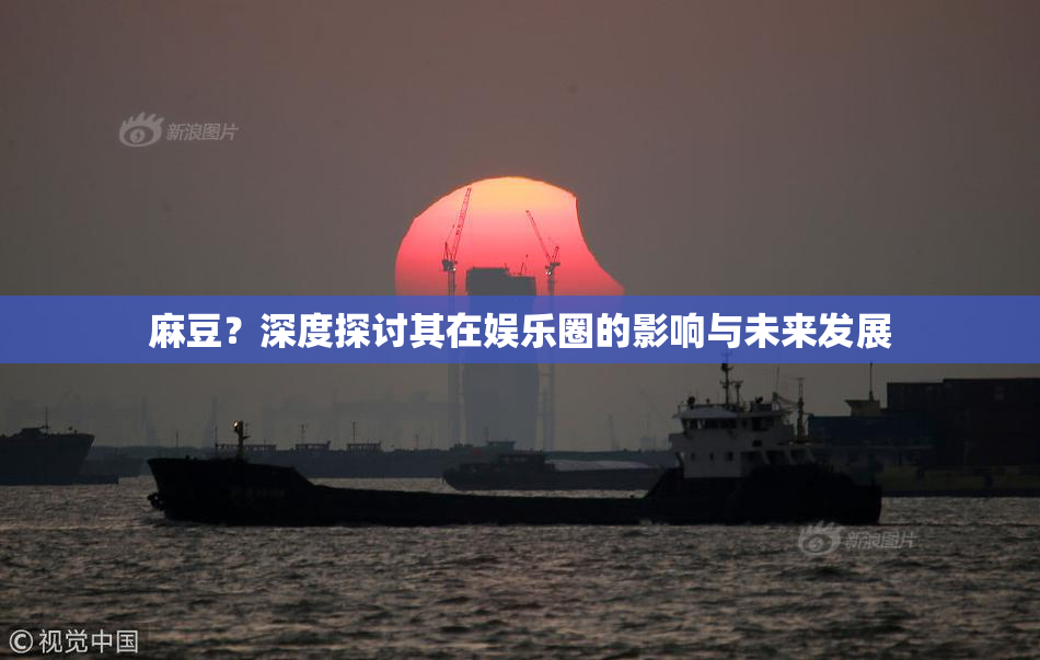 麻豆？深度探讨其在娱乐圈的影响与未来发展