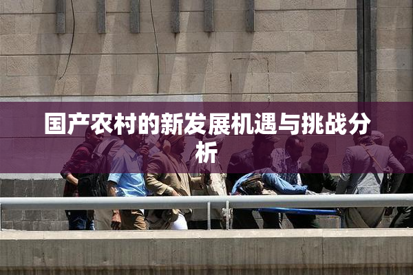 国产农村的新发展机遇与挑战分析
