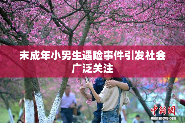 末成年小男生遇险事件引发社会广泛关注