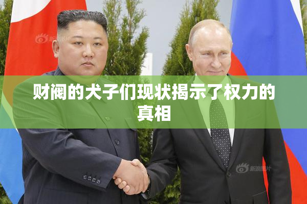 财阀的犬子们现状揭示了权力的真相