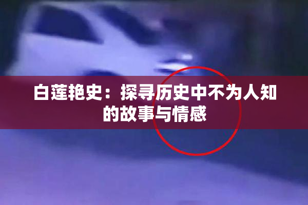 白莲艳史：探寻历史中不为人知的故事与情感