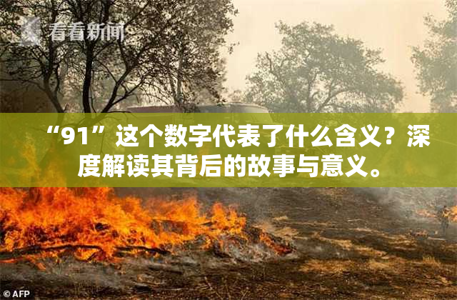 “91”这个数字代表了什么含义？深度解读其背后的故事与意义。