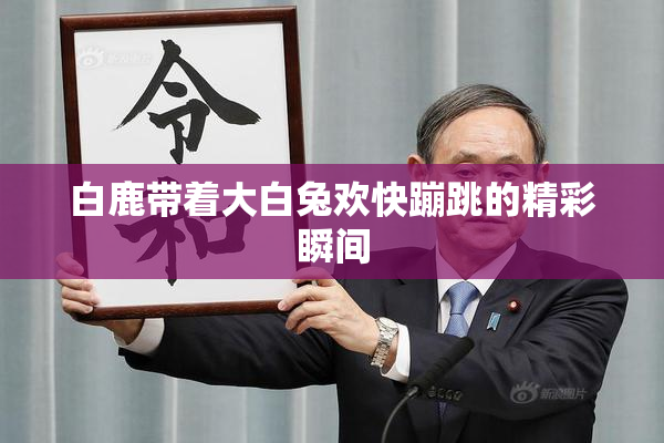 白鹿带着大白兔欢快蹦跳的精彩瞬间