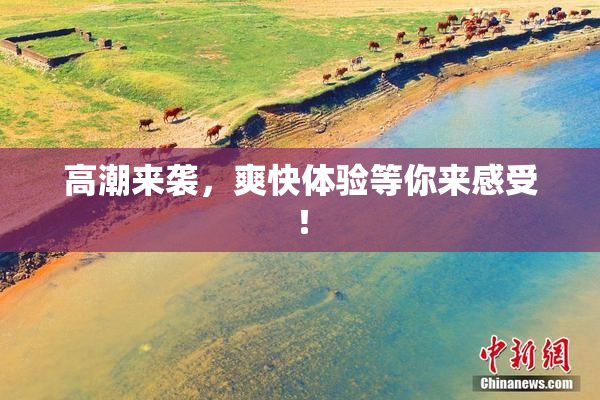 高潮来袭，爽快体验等你来感受！