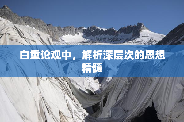 白重论观中，解析深层次的思想精髓