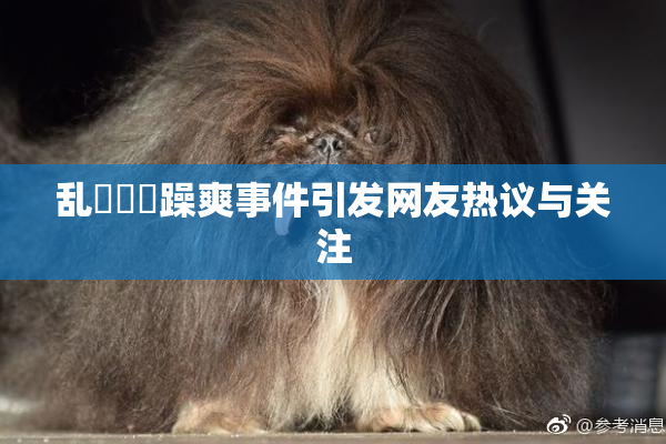 乱婬妺妺躁爽事件引发网友热议与关注