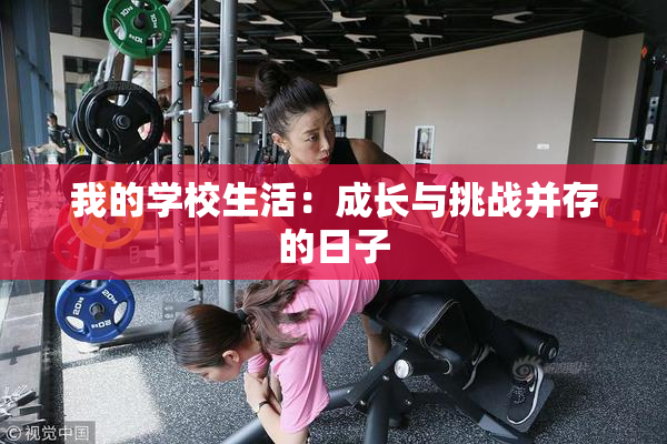 我的学校生活：成长与挑战并存的日子