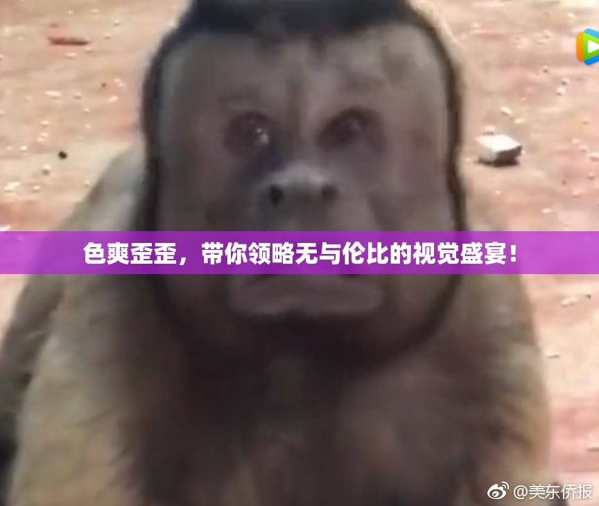 色爽歪歪，带你领略无与伦比的视觉盛宴！