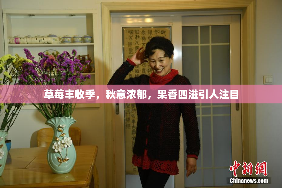 草莓丰收季，秋意浓郁，果香四溢引人注目