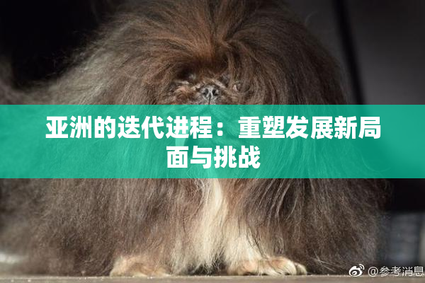 亚洲的迭代进程：重塑发展新局面与挑战
