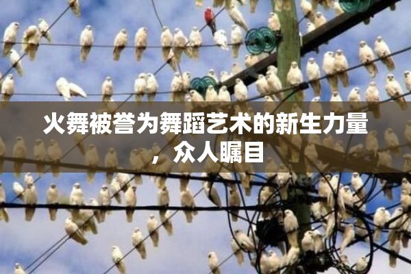 火舞被誉为舞蹈艺术的新生力量，众人瞩目