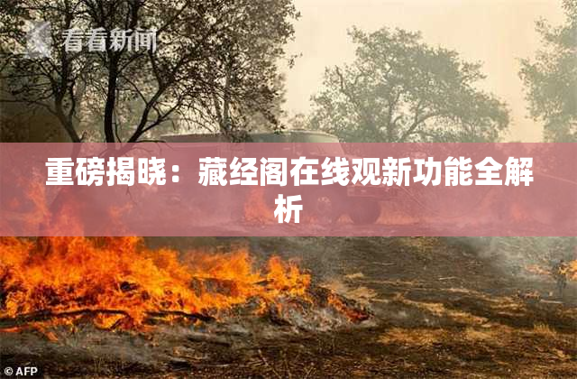 重磅揭晓：藏经阁在线观新功能全解析