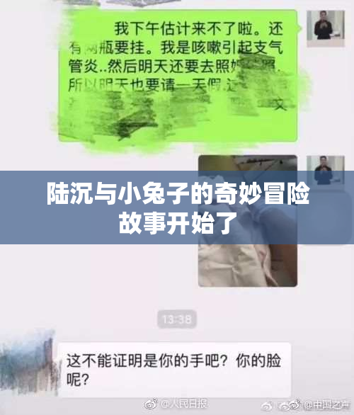 陆沉与小兔子的奇妙冒险故事开始了