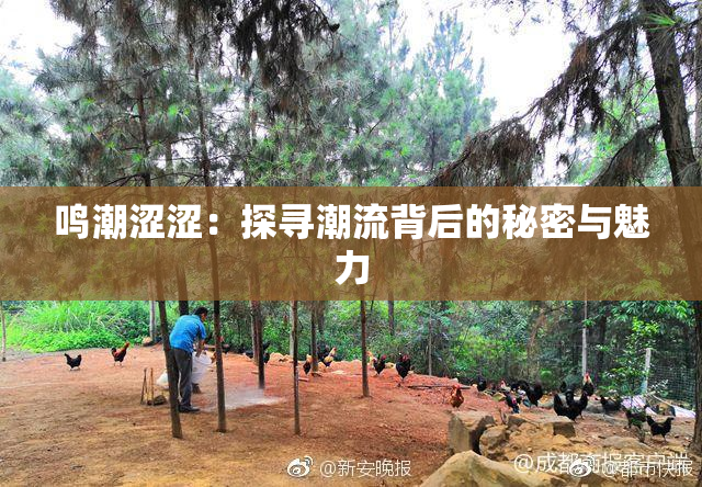 鸣潮涩涩：探寻潮流背后的秘密与魅力