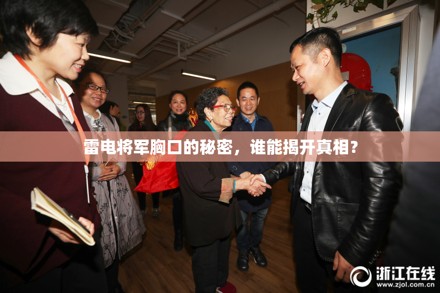 雷电将军胸口的秘密，谁能揭开真相？