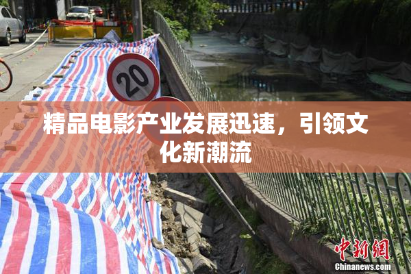 精品电影产业发展迅速，引领文化新潮流