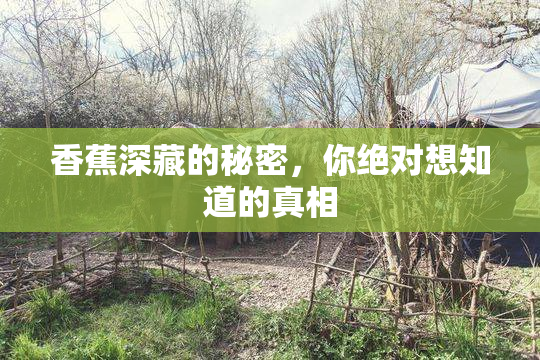 香蕉深藏的秘密，你绝对想知道的真相
