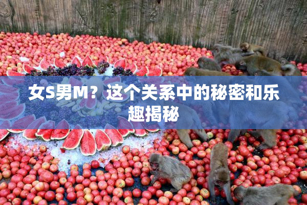 女S男M？这个关系中的秘密和乐趣揭秘