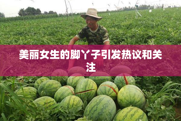 美丽女生的脚丫子引发热议和关注
