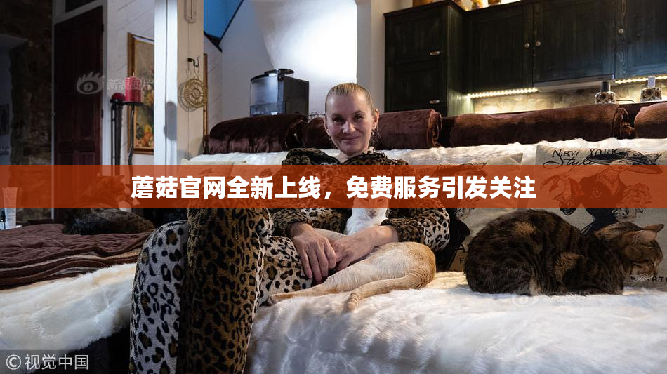 蘑菇官网全新上线，免费服务引发关注