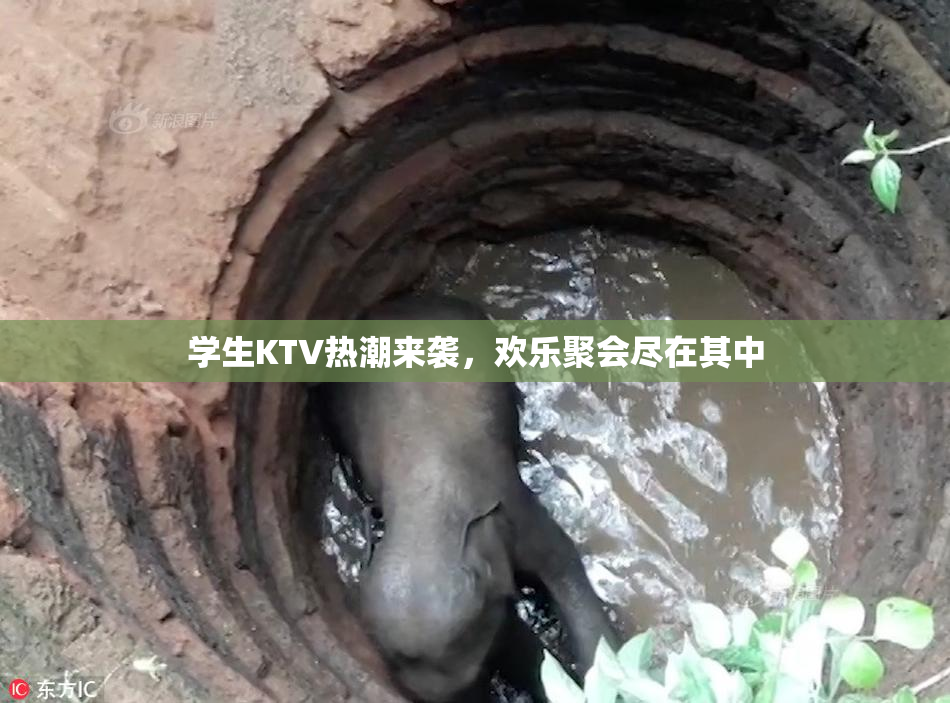 学生KTV热潮来袭，欢乐聚会尽在其中
